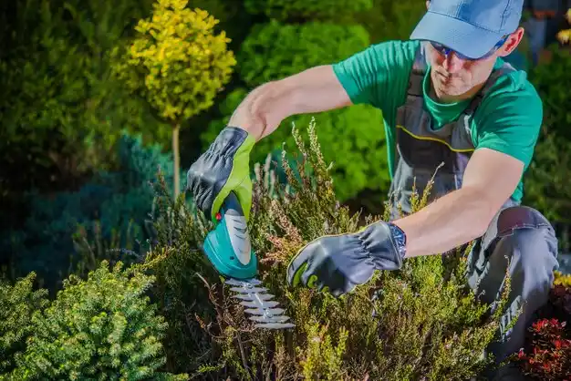landscaping services Valley Park